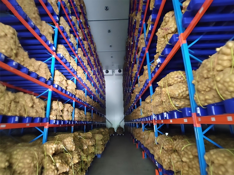 Proyek Cold Storage untuk Optimasi Industri Makanan di Indonesia