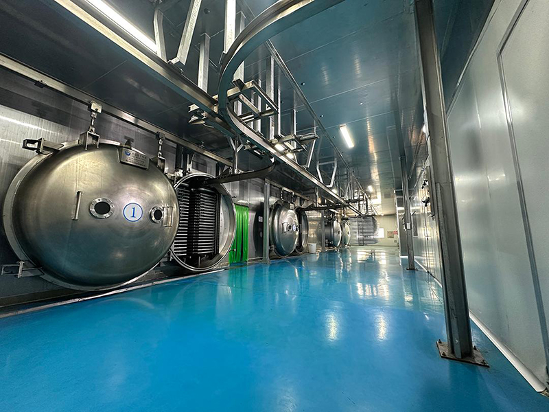 Proyek Freeze-Drying di Yantai