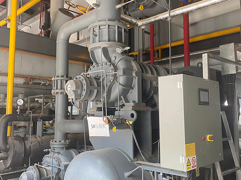 Proyek Freeze-Drying di Yantai