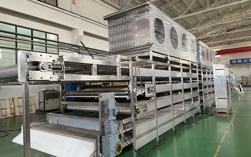 Proyek Freezer IQF Multi-Layer Belt untuk RC FRIO SAS, Kolombia