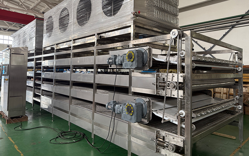 Proyek Freezer IQF Multi-Layer Belt untuk RC FRIO SAS, Kolombia