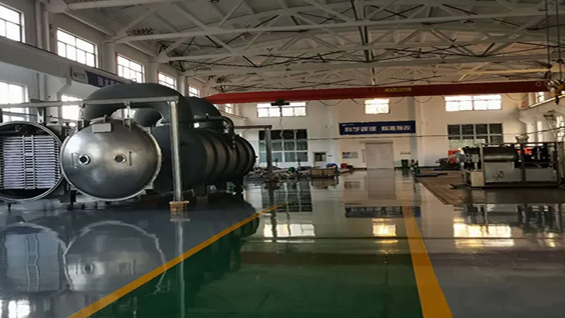 Proyek Makanan Beku Kering Linyi, China