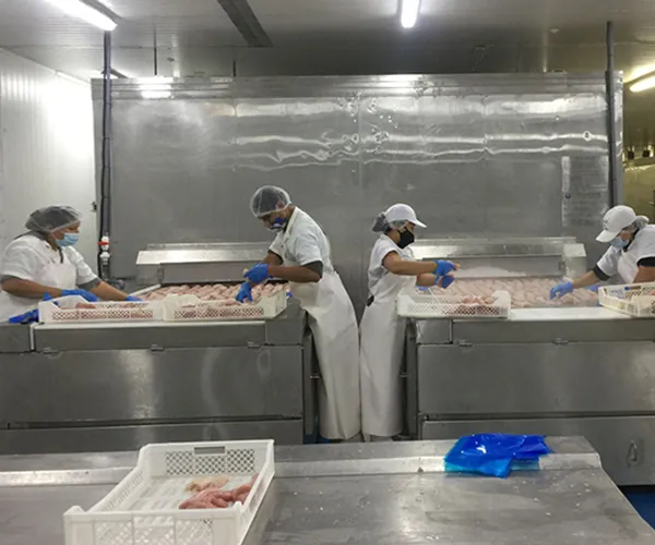 Proyek Pengolahan Produk Laut (Seafood), Peru