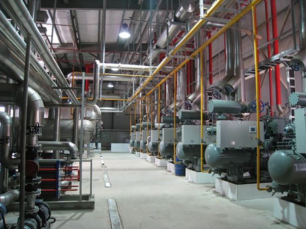 Proyek Refrigerasi Unggas di Mesir