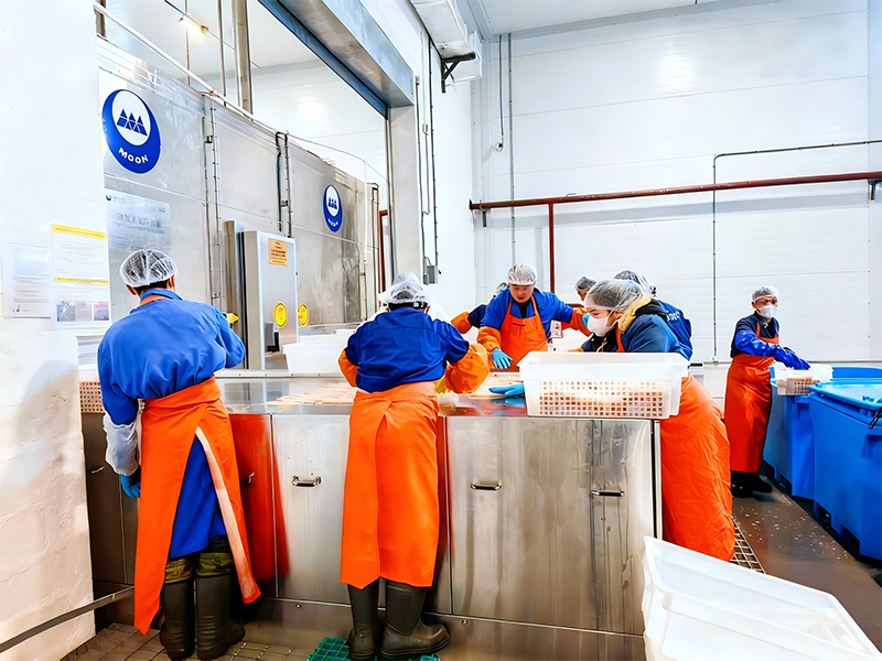 Proyek Plate Freezing dan Cold Storage di Rusia