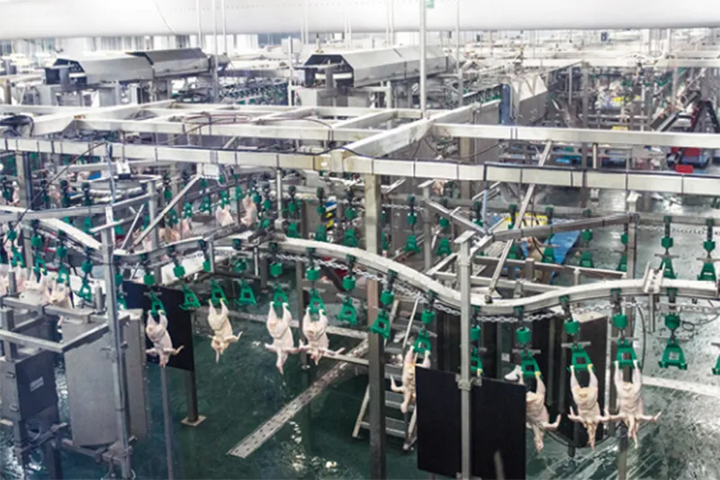 Red Water Chiller