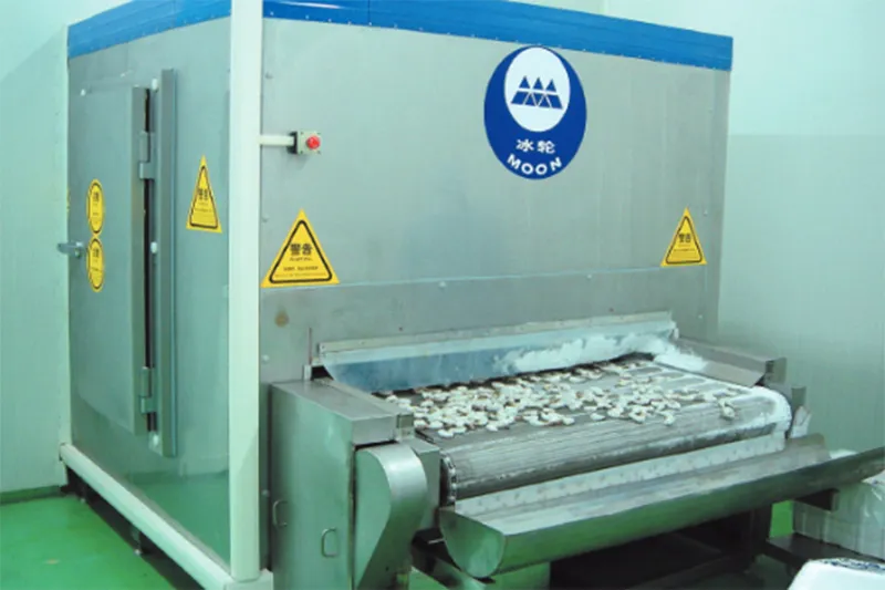 Mesh Belt Tunnel Freezer