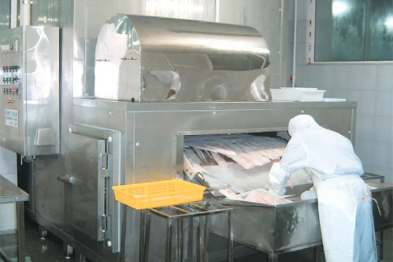 Mesh Belt Tunnel Freezer